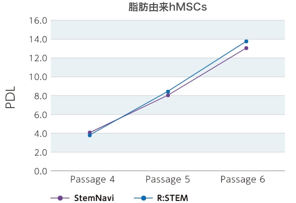 脂肪由来hMSCs