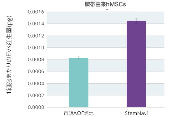 臍帯由来hMSCs