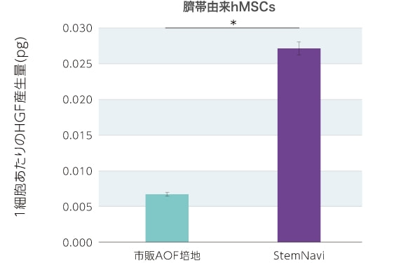 臍帯由来hMSCs