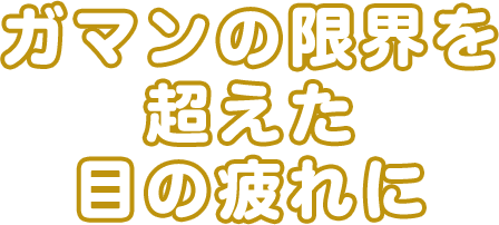 [疲れ目に] 視る力を回復サポート！