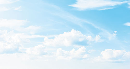 Carbon Neutrality